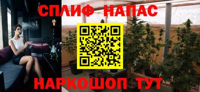 гашик Нарткала