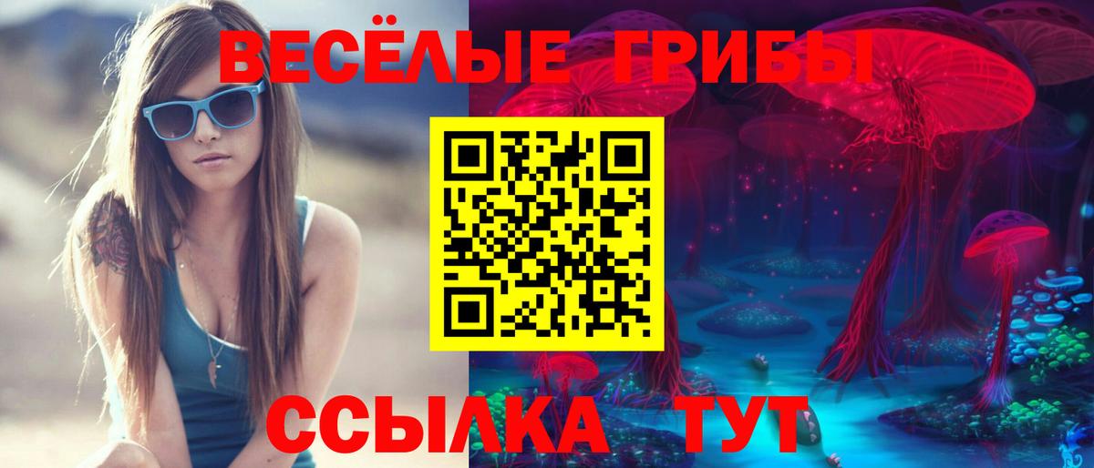 Псилоцибиновые грибы мицелий Старая Купавна